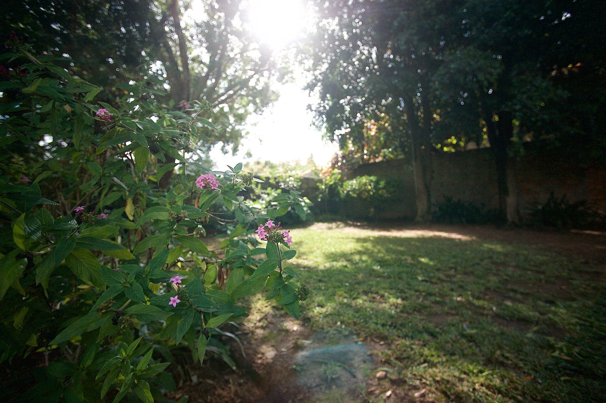 Stellenbosch Gardens Apartment Exterior photo